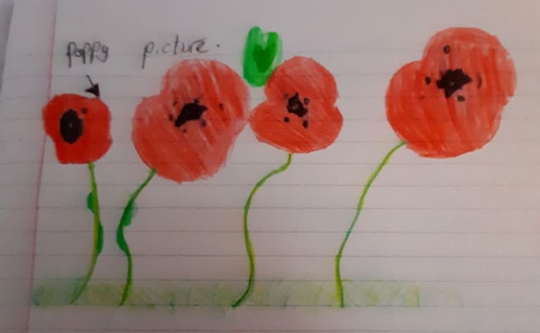 Poppies by Poppy