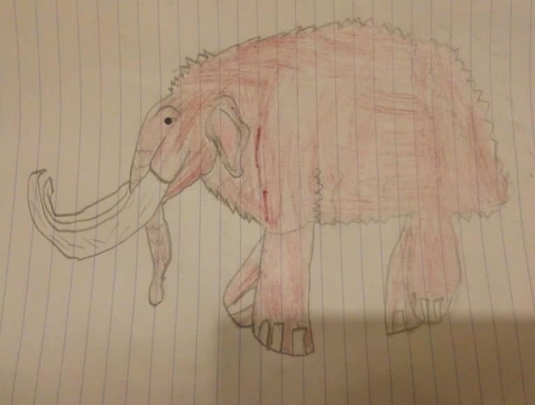 Woolly Mammoth drawing