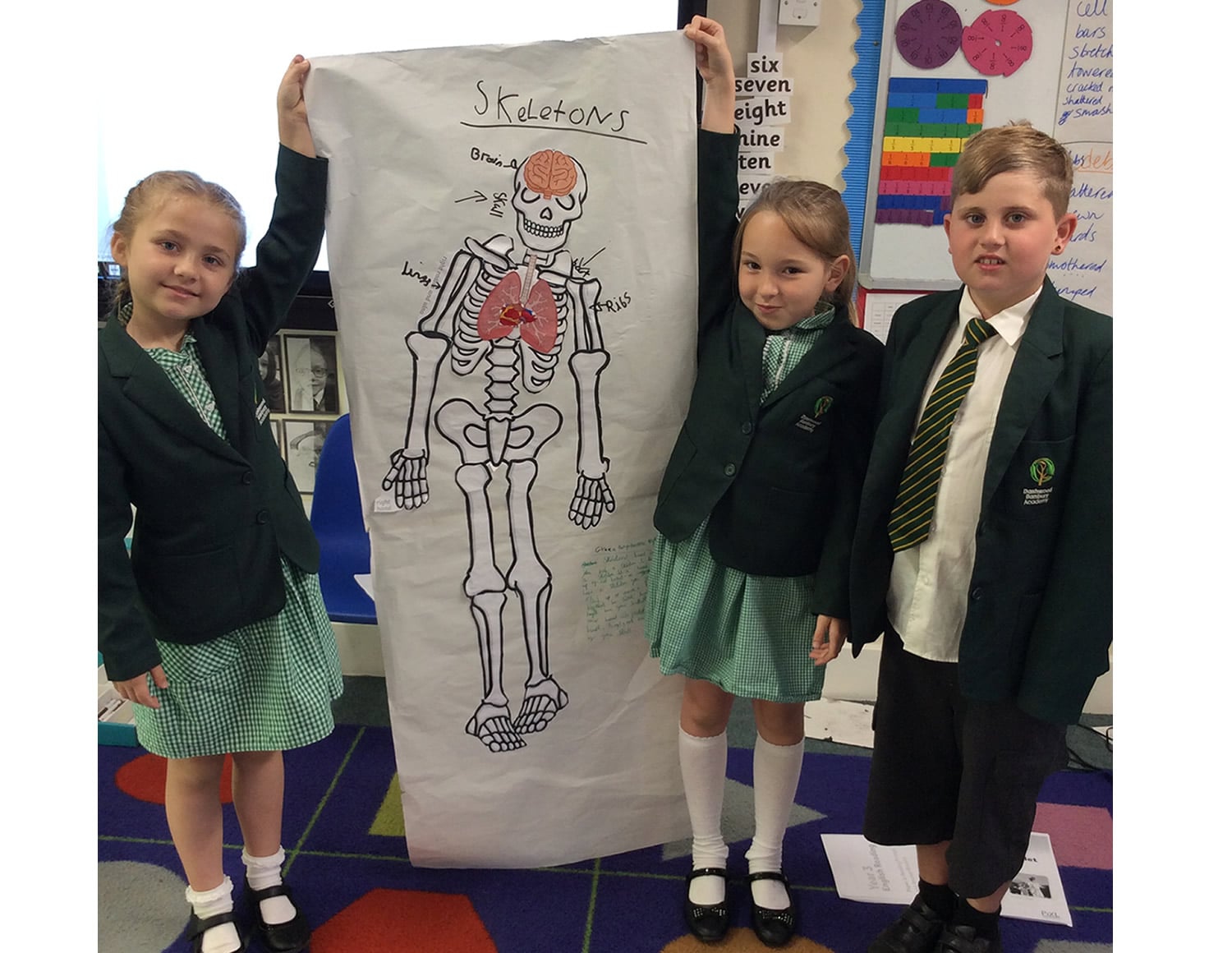 Children with their life-size skeleton drawings