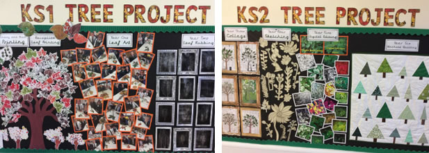 KS1 Tree Project