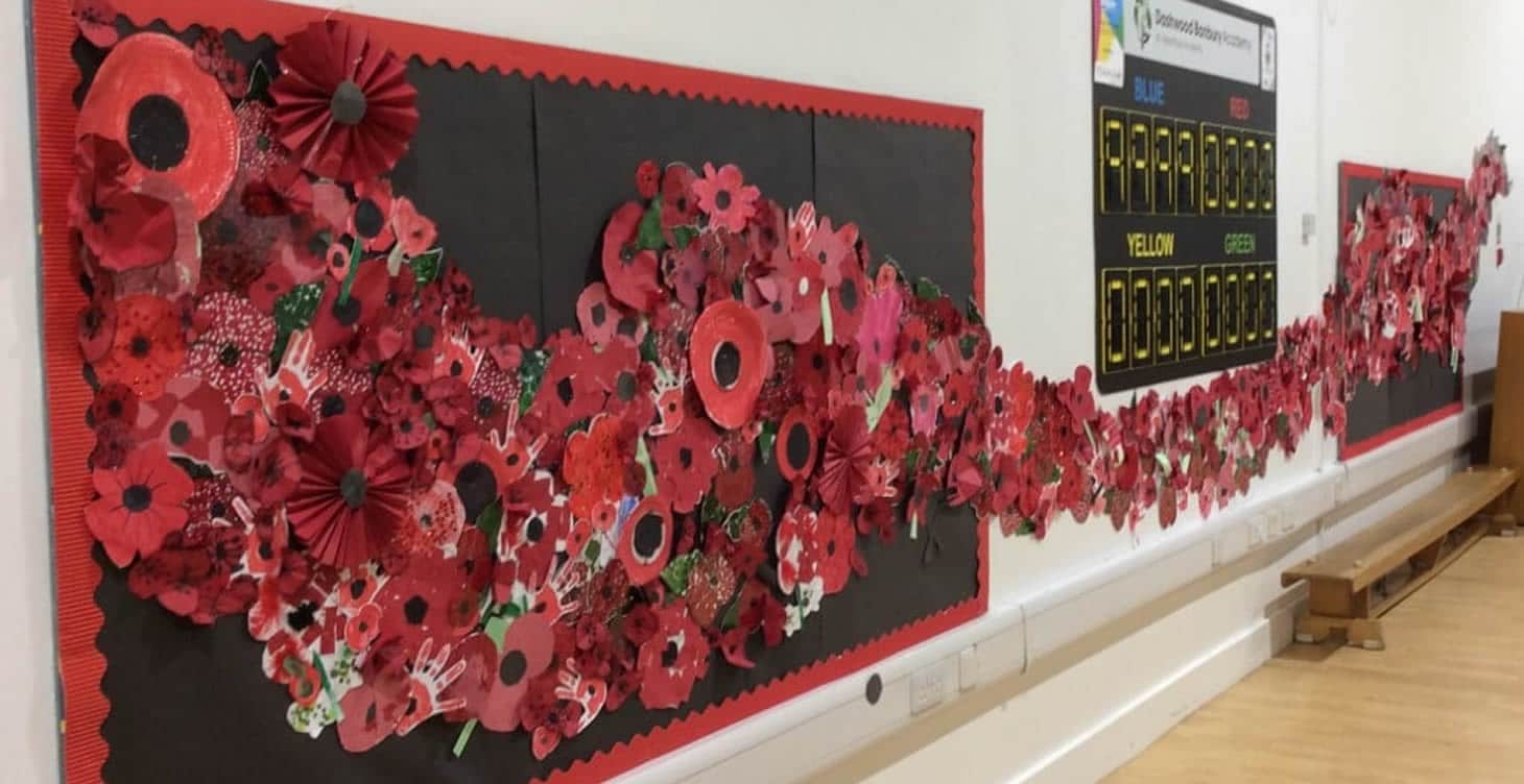 Remembrance Day poppy artwork